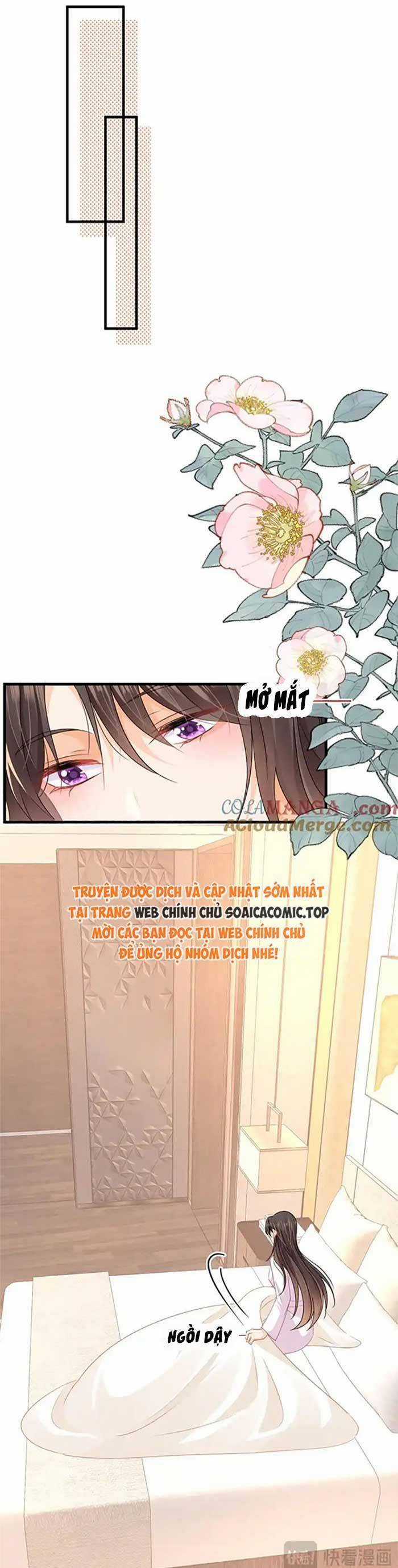 Cùng Lục Gia Yêu Đương Vụng Trộm Món quà ý nghĩa nhất cho người thân yêu Chapter 68 trang 19