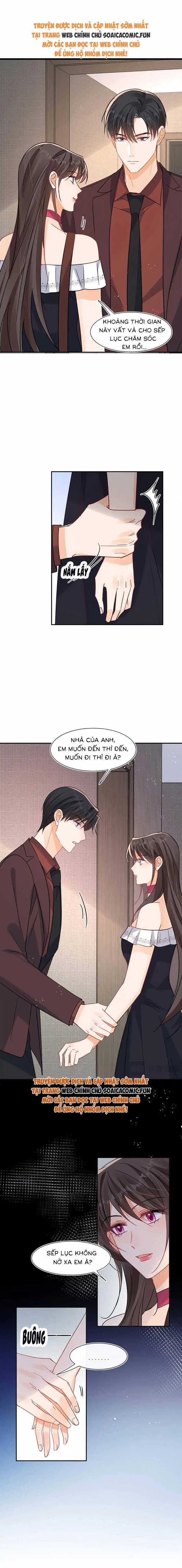 Cùng Lục Gia Yêu Đương Vụng Trộm Chapter 107 trang 3