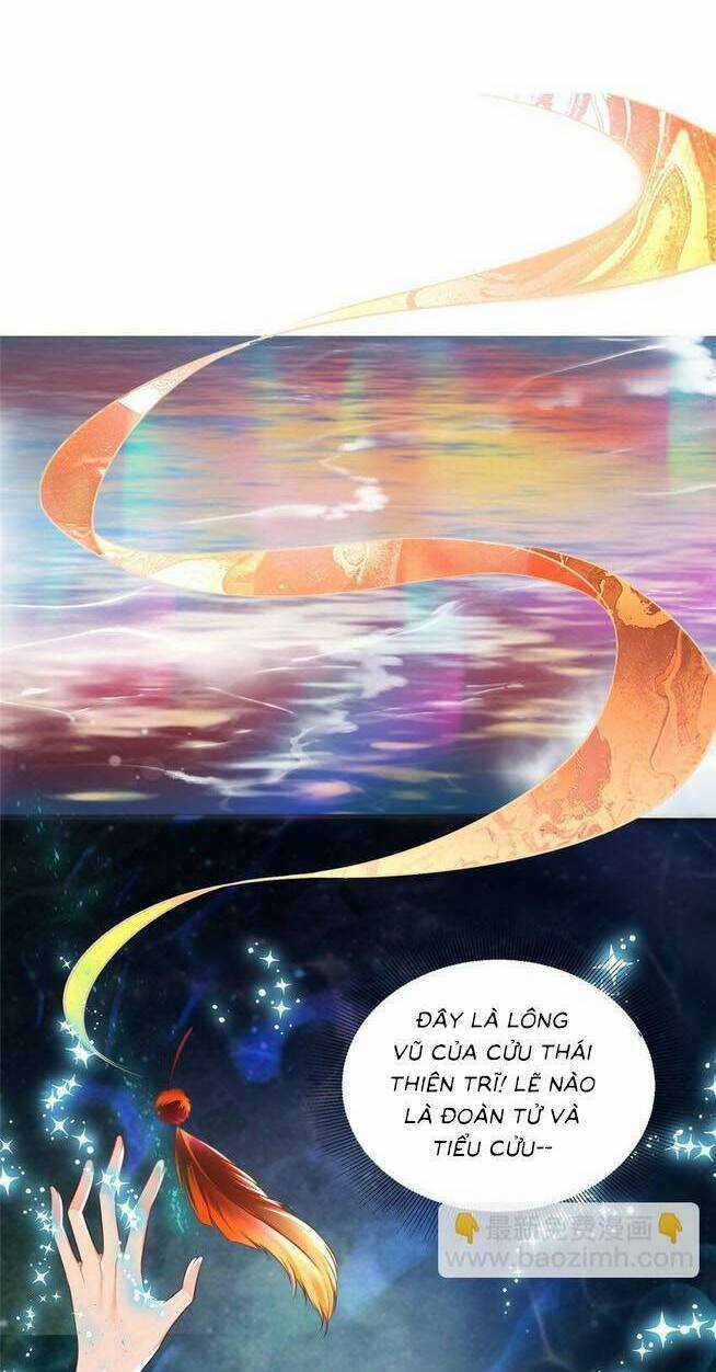 Cùng Ngự Thần Thú Báo Thù Chapter 81 trang 21