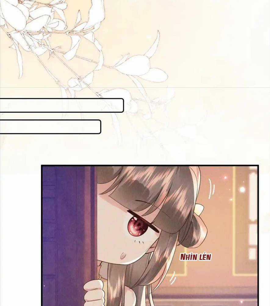 Cùng Trùng Sinh Với Phản Diện Mà Mình Giết Chết Chapter 17 trang 17