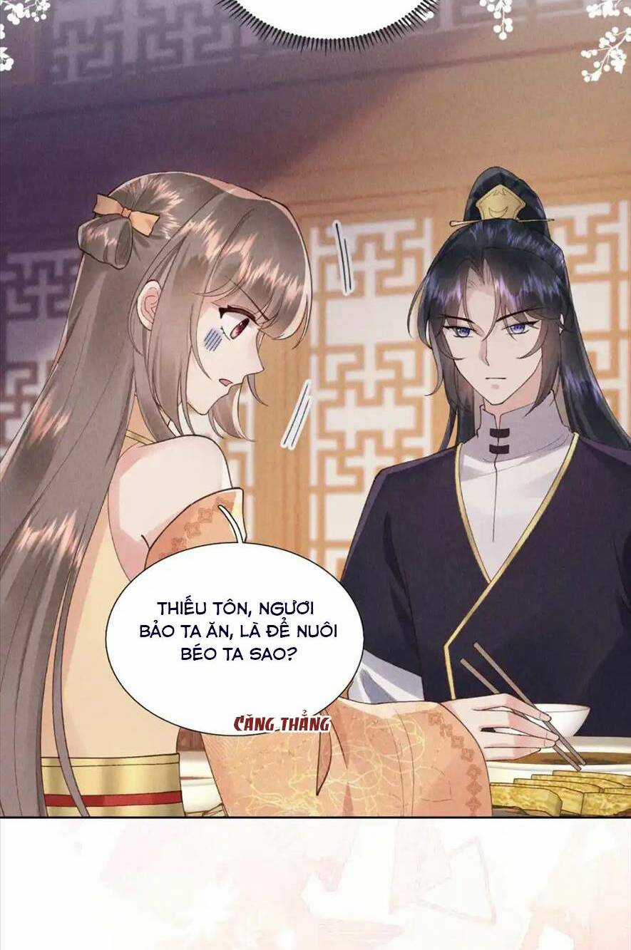 Cùng Trùng Sinh Với Phản Diện Mà Mình Giết Chết Chapter 18 trang 17