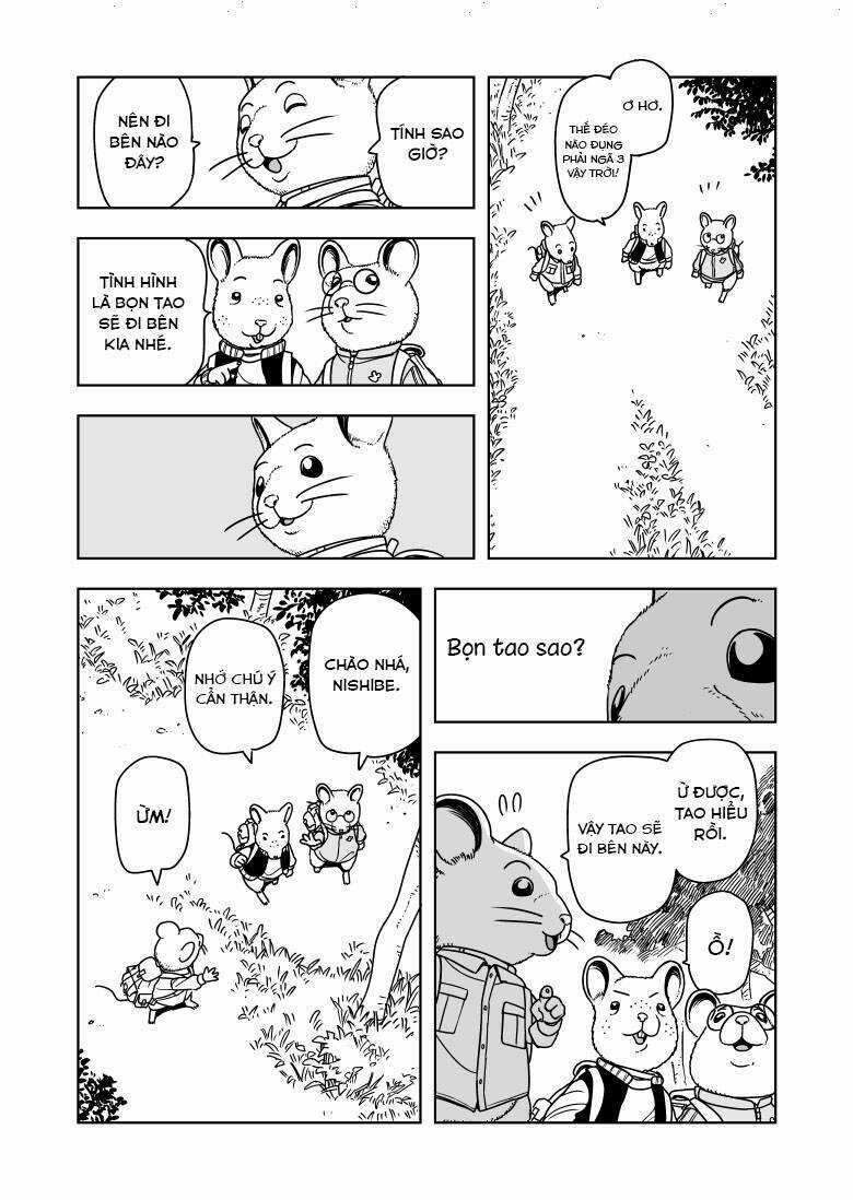 Cuộc Chiến Sinh Tử Của Những Chú Chuột Chapter 1 trang 8