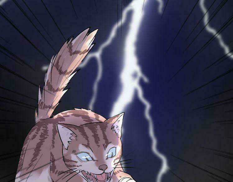 Cuộc Chiến Tình Yêu Chapter 22 trang 15