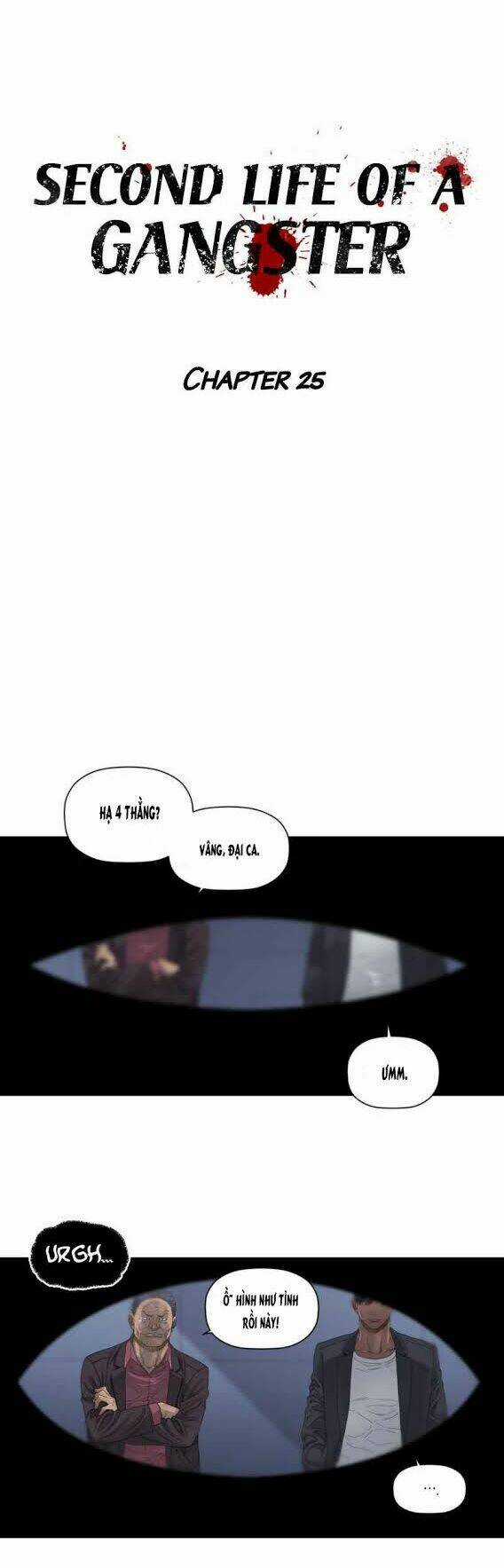 Cuộc Đời Thứ Hai Của Một Gangster Chapter 25 trang 17
