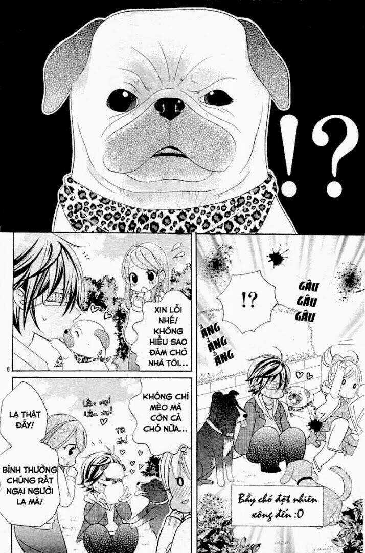 Cuộc Gặp Gỡ Diệu Kỳ Chapter 20 trang 10