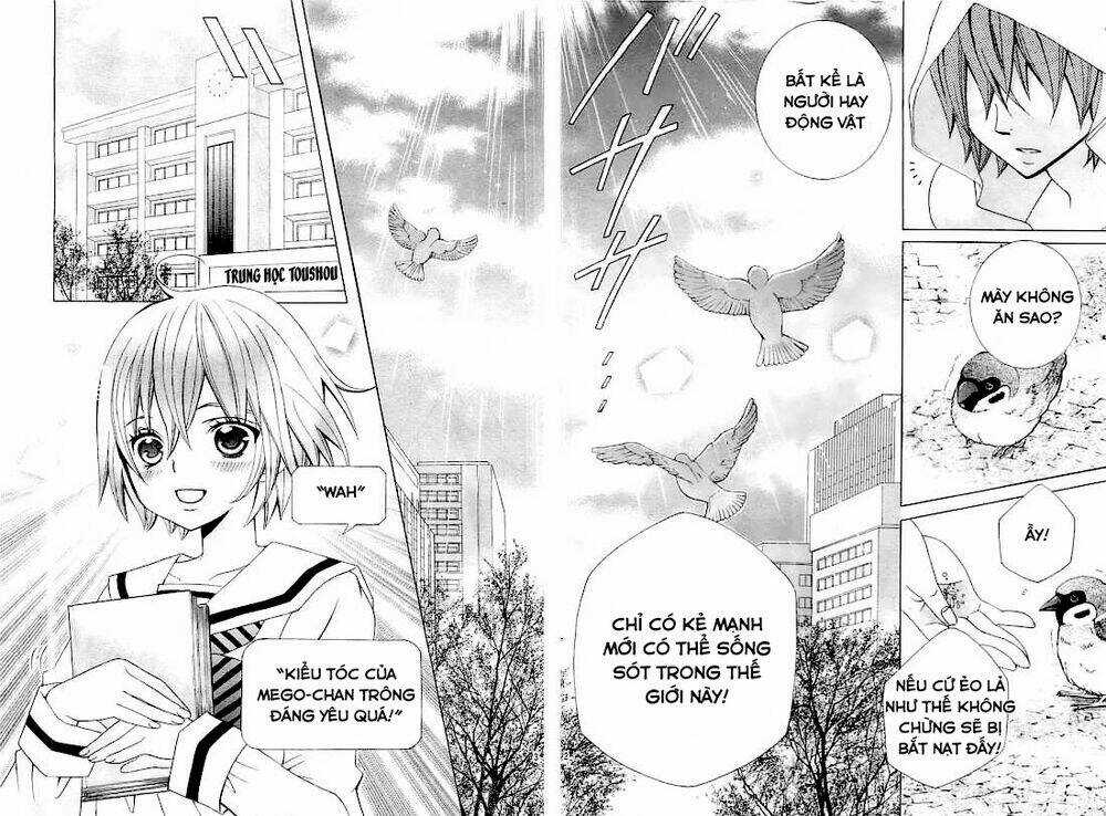 Cuộc Gặp Gỡ Diệu Kỳ Chapter 26 trang 4