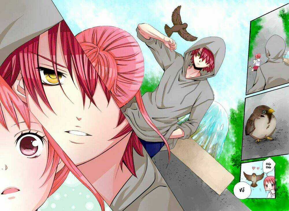 Cuộc Gặp Gỡ Diệu Kỳ Chapter 28 trang 11