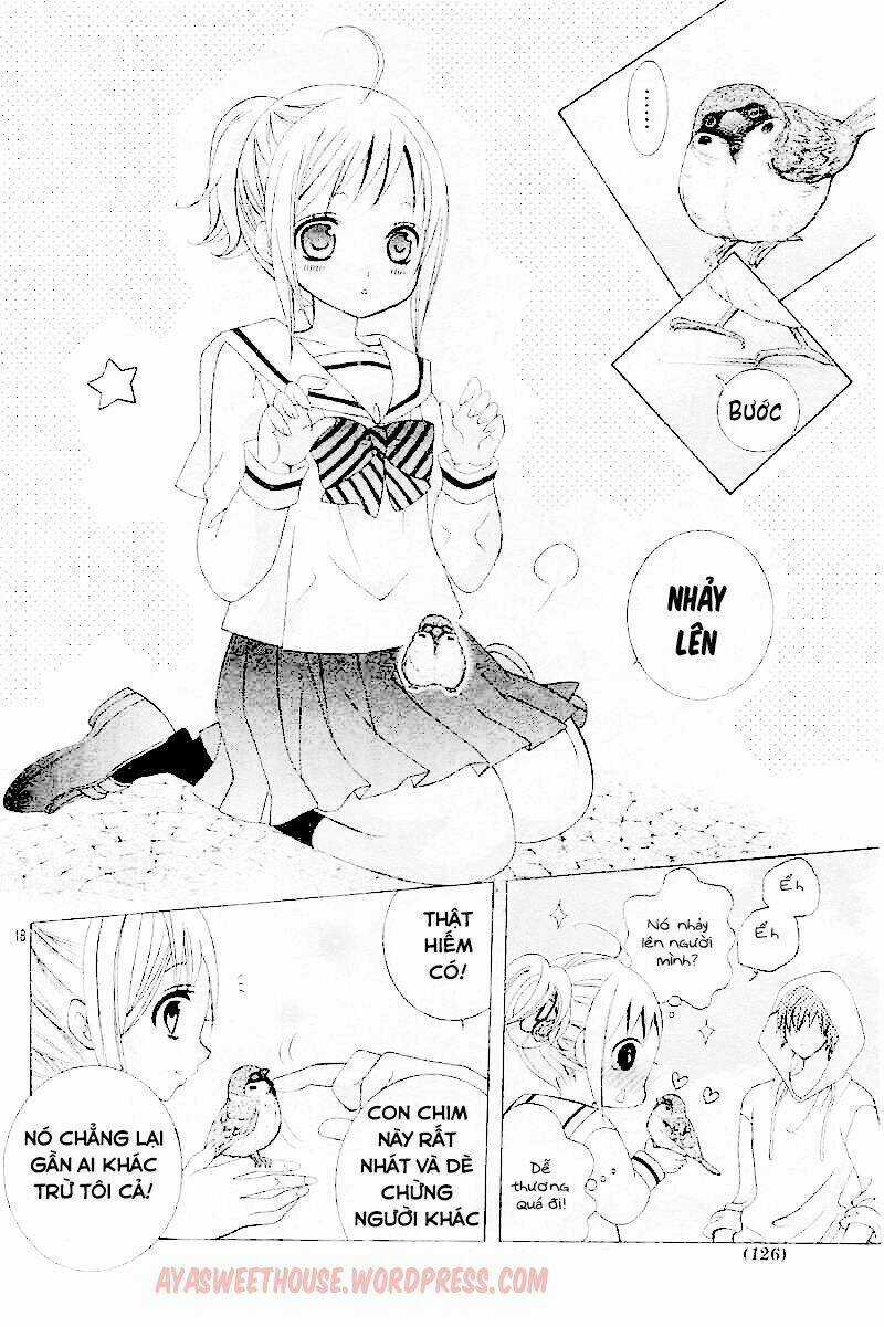 Cuộc Gặp Gỡ Diệu Kỳ Chapter 28 trang 18