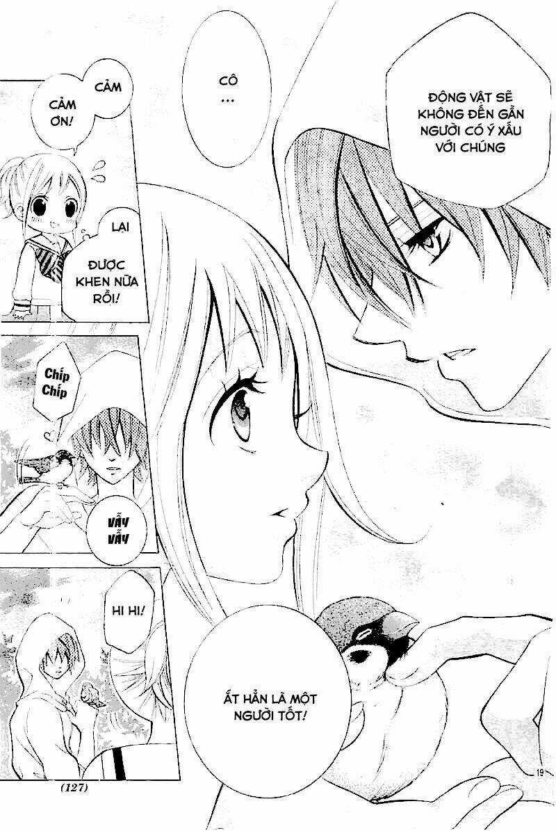 Cuộc Gặp Gỡ Diệu Kỳ Chapter 28 trang 19