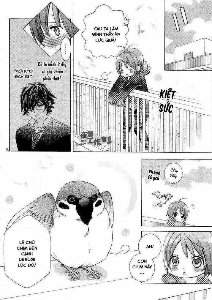 Cuộc Gặp Gỡ Diệu Kỳ Chapter 31 trang 26