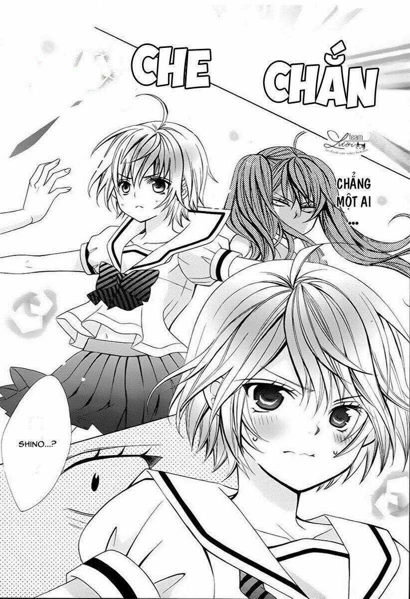 Cuộc Gặp Gỡ Diệu Kỳ Chapter 50 trang 12