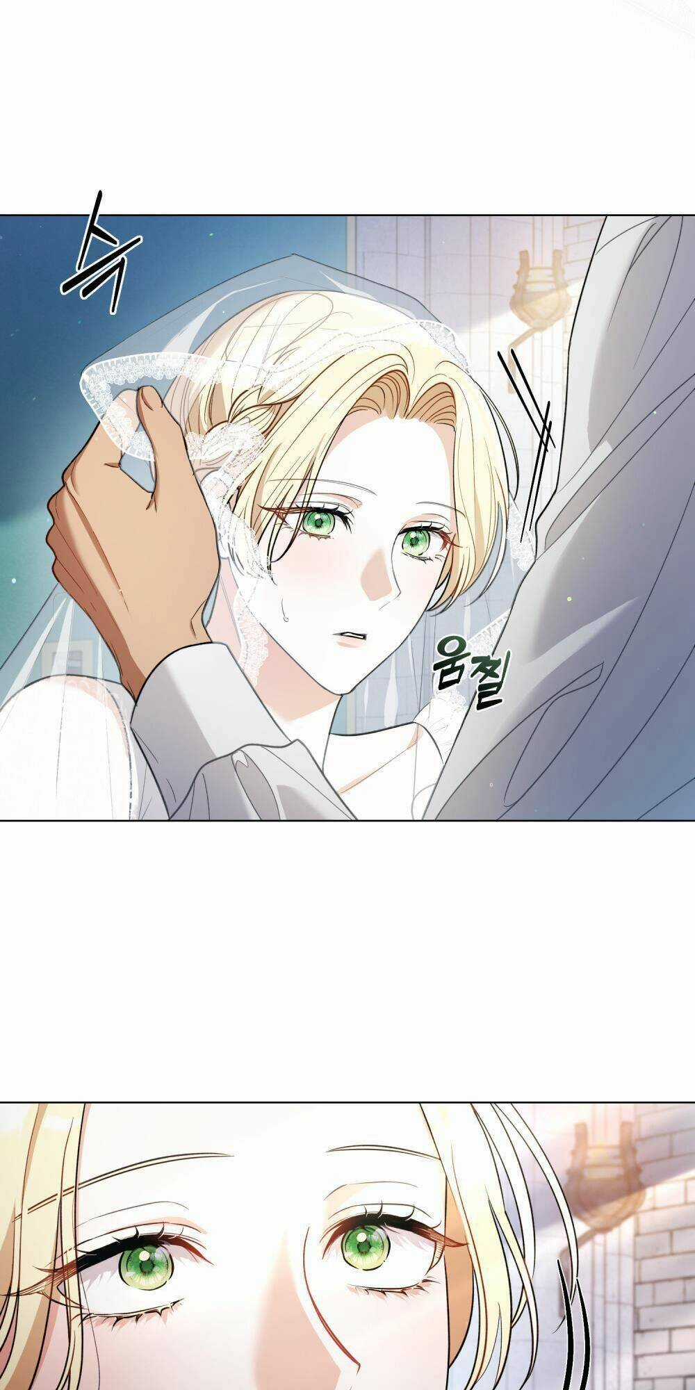 cuộc hôn nhân chính trị với kẻ thù dịu dàng Chapter 1 trang 41