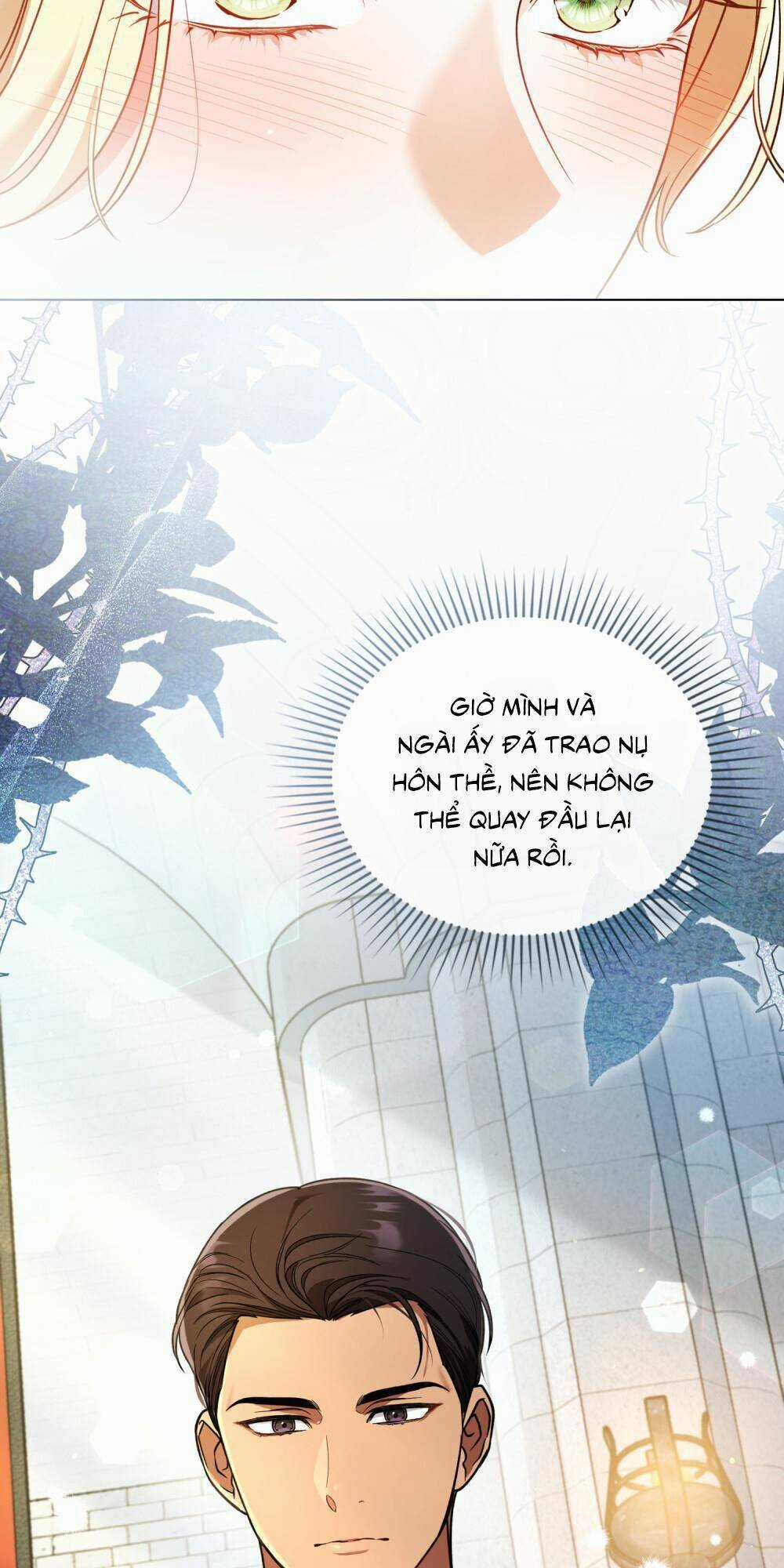 cuộc hôn nhân chính trị với kẻ thù dịu dàng Chapter 1 trang 47