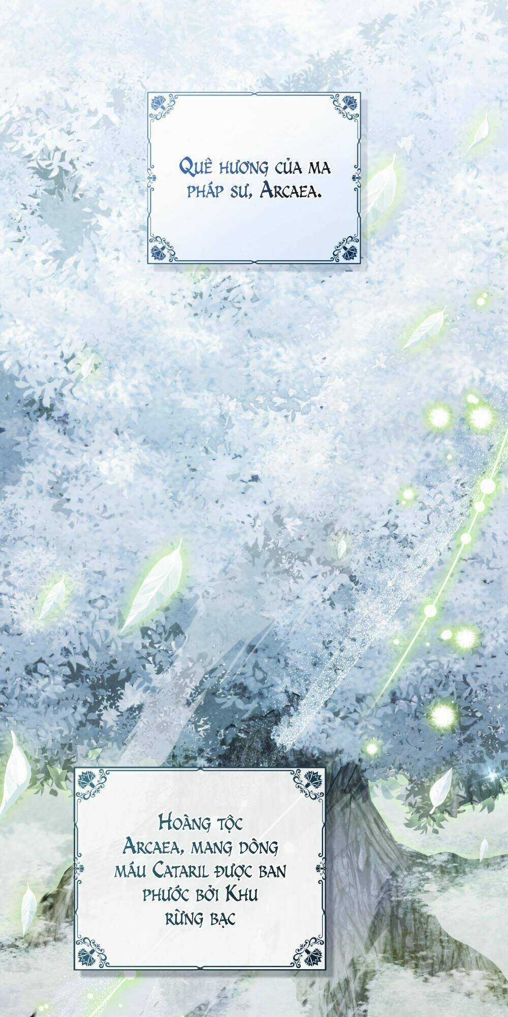 cuộc hôn nhân chính trị với kẻ thù dịu dàng Chapter 1 trang 61