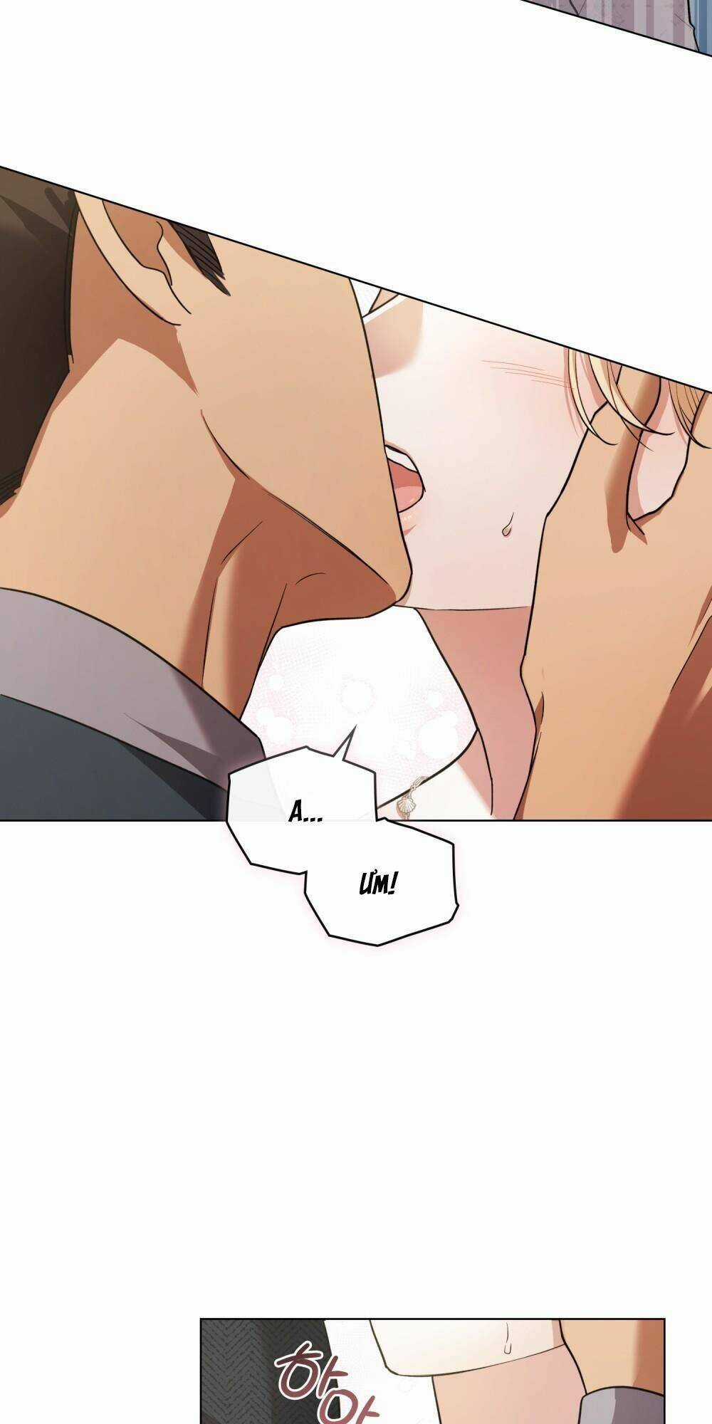 cuộc hôn nhân chính trị với kẻ thù dịu dàng Chapter 7 trang 66