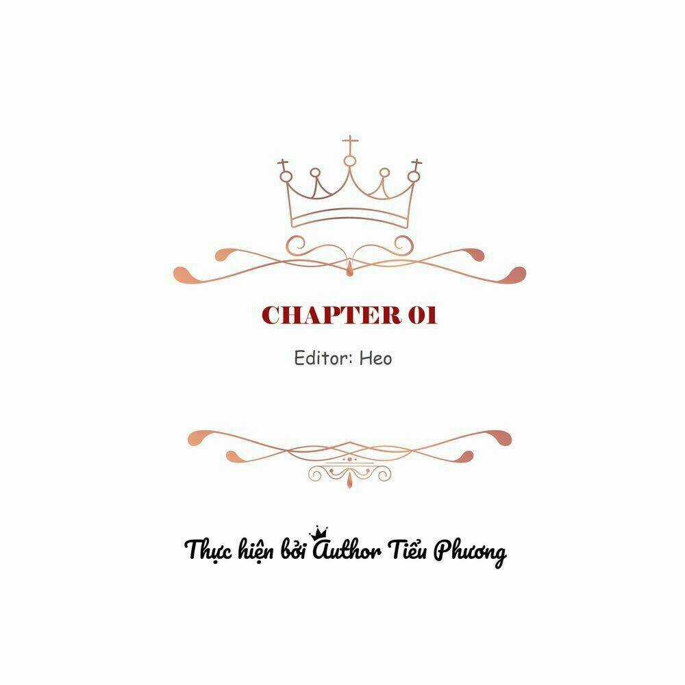 Cuộc Hôn Nhân Giả Dối Chapter 1 trang 2