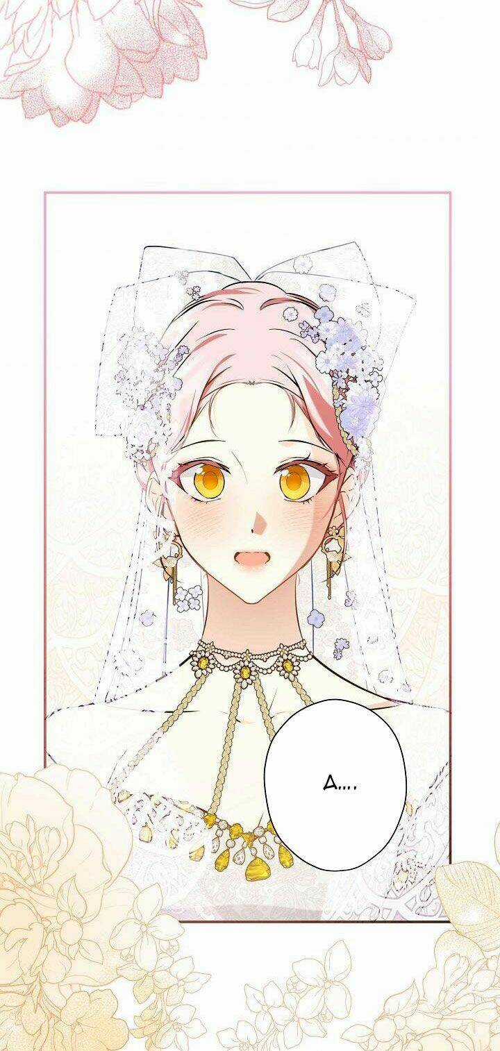 Cuộc Hôn Nhân Giả Dối Chapter 103 trang 74