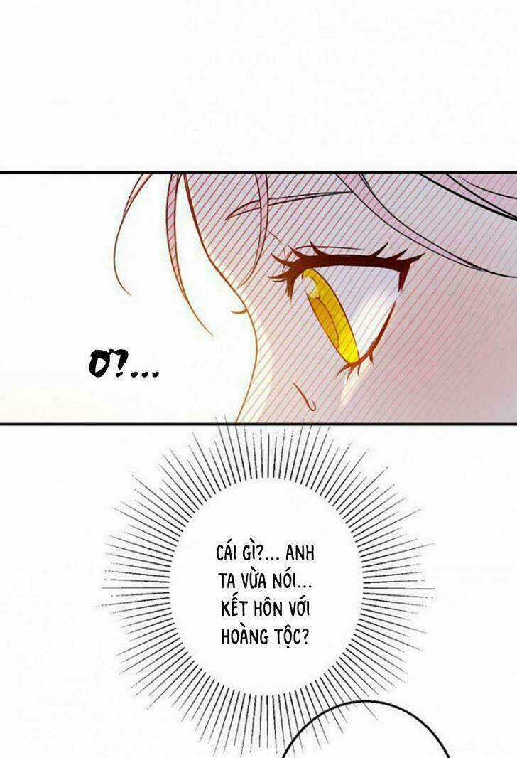 Cuộc Hôn Nhân Giả Dối Chapter 2 trang 36