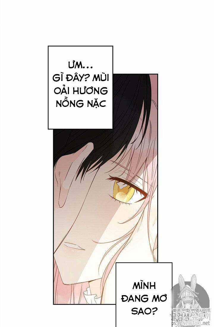 Cuộc Hôn Nhân Giả Dối Chapter 28 trang 13