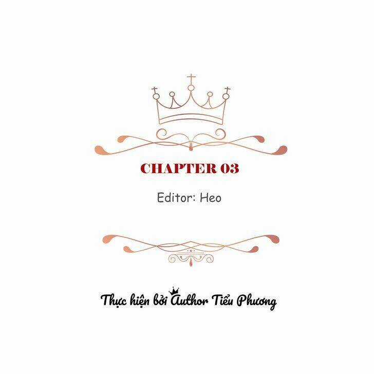 Cuộc Hôn Nhân Giả Dối Chapter 3 trang 3