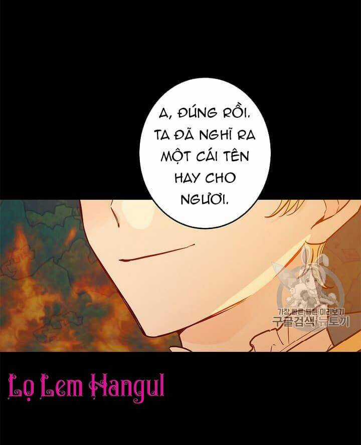 Cuộc Hôn Nhân Giả Dối Chapter 40 trang 19