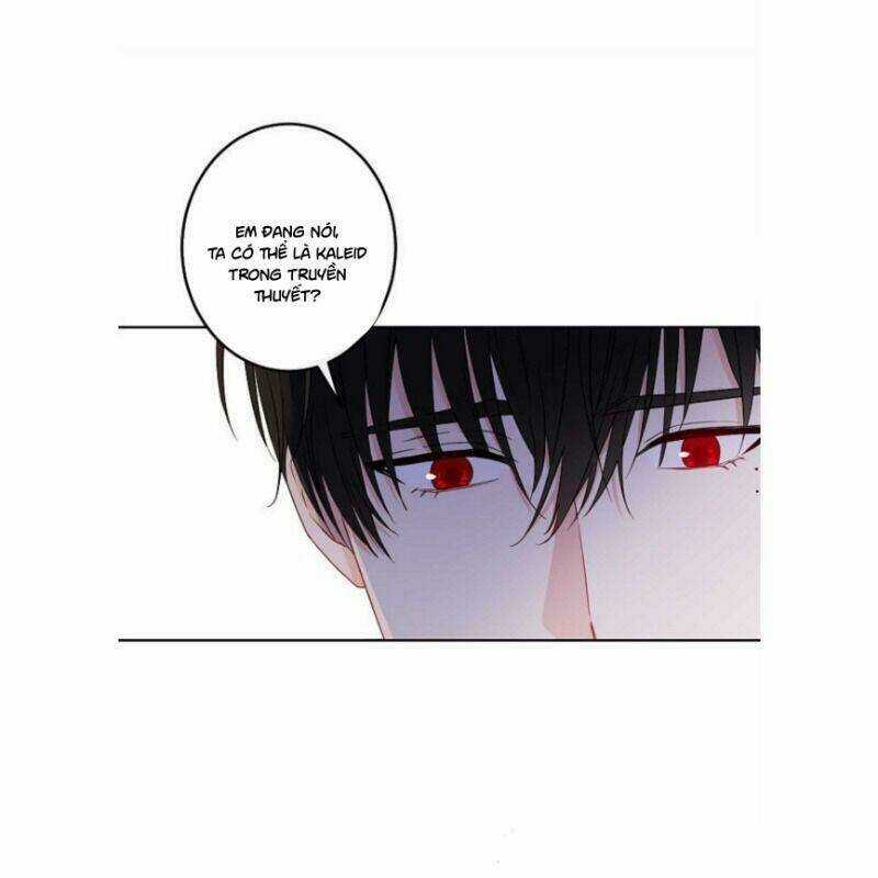 Cuộc Hôn Nhân Giả Dối Chapter 48 trang 24