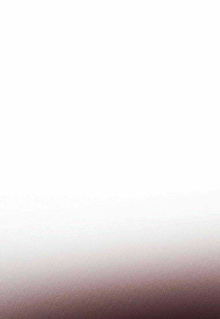 Cuộc Hôn Nhân Giả Dối Chapter 97.1 trang 24