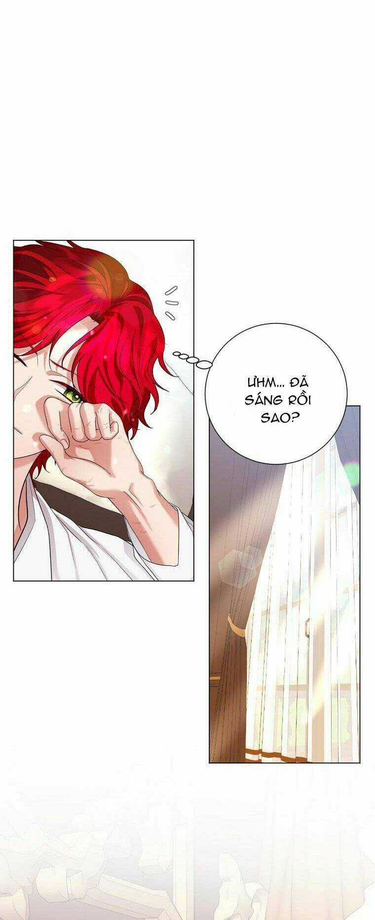 Cuộc Hôn Nhân Hợp Đồng Của Công Tước Ashleyan Chapter 13 trang 45