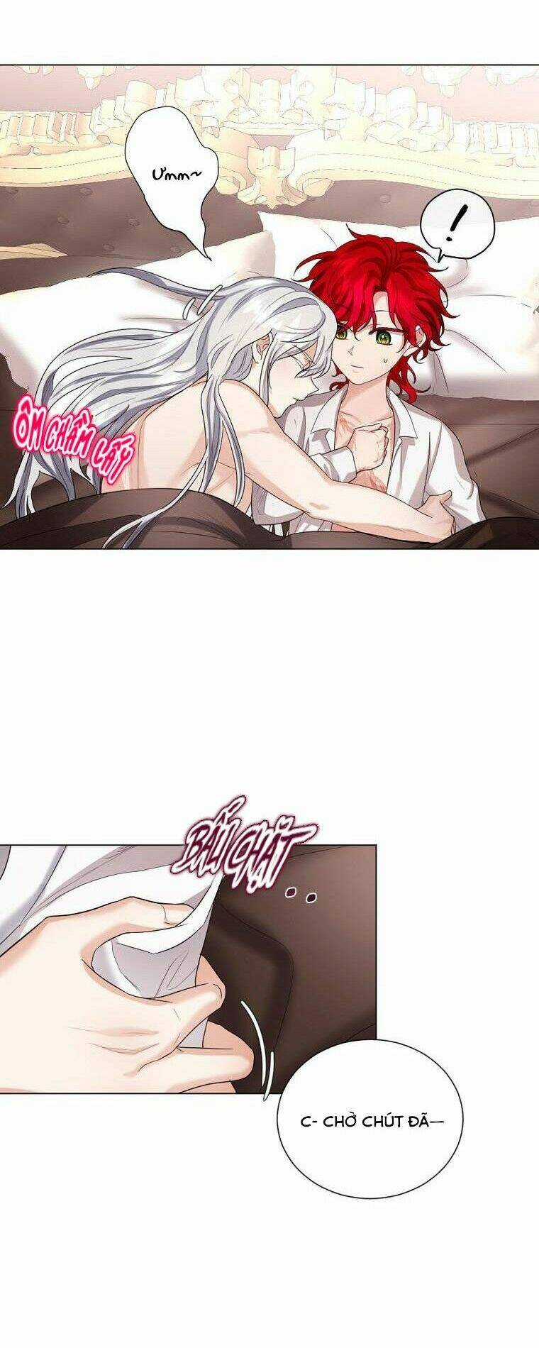 Cuộc Hôn Nhân Hợp Đồng Của Công Tước Ashleyan Chapter 13 trang 49