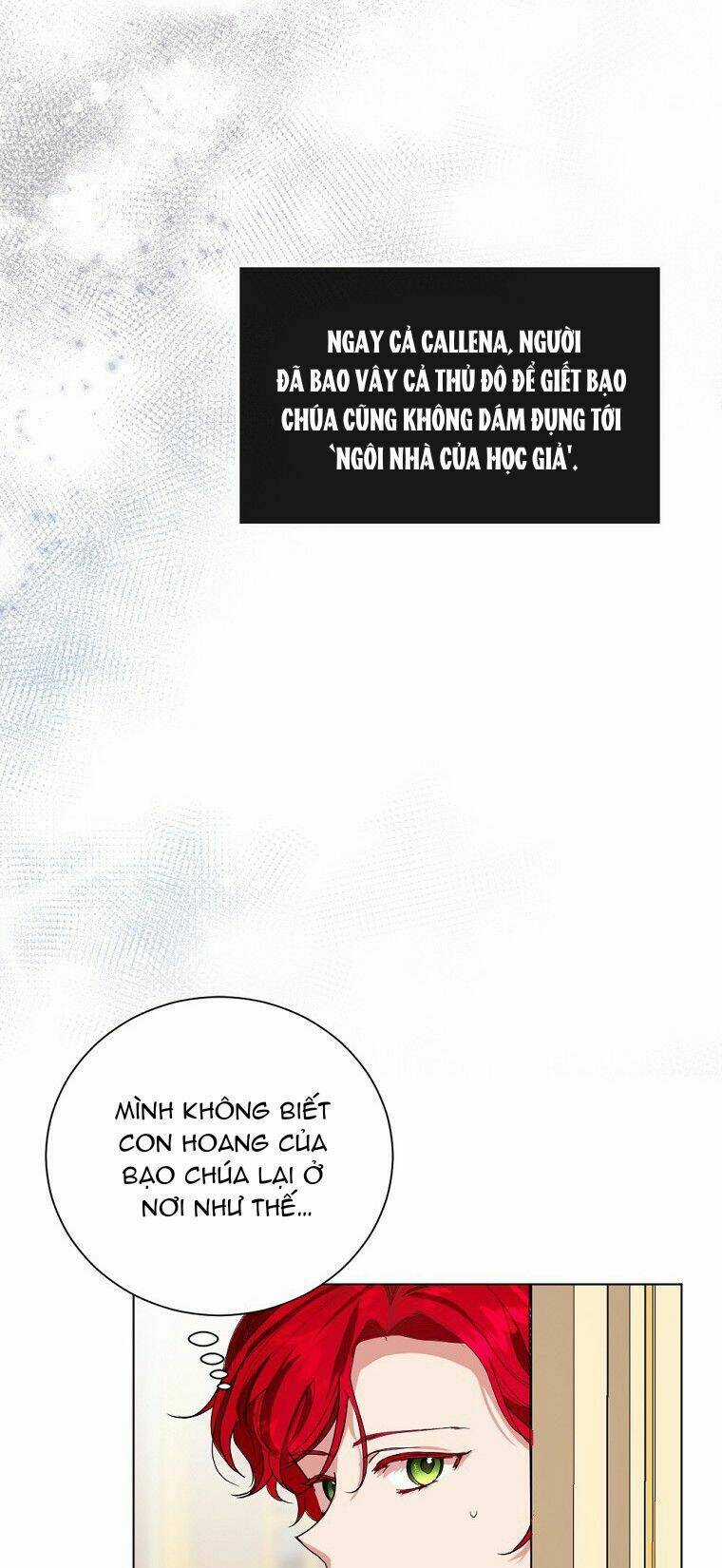 Cuộc Hôn Nhân Hợp Đồng Của Công Tước Ashleyan Chapter 6 trang 15