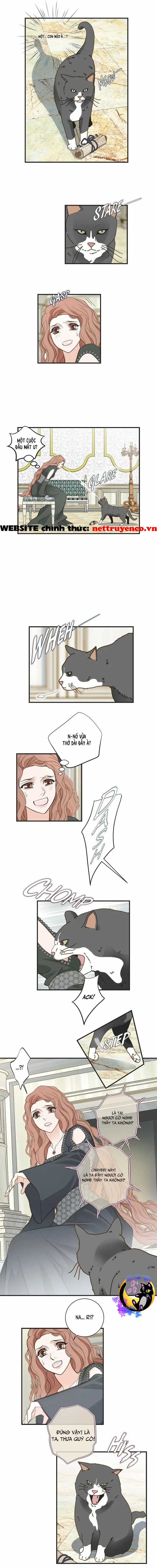 CUỘC HÔN NHÂN SỐNG CÒN Chapter 30 trang 8