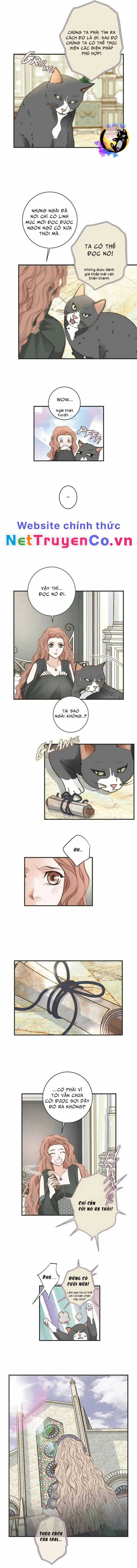 CUỘC HÔN NHÂN SỐNG CÒN Chapter 31 trang 3