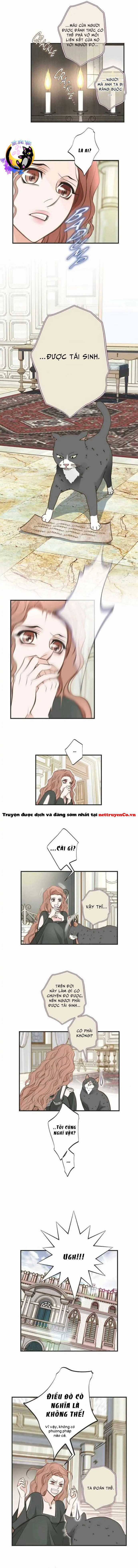 CUỘC HÔN NHÂN SỐNG CÒN Chapter 31 trang 4