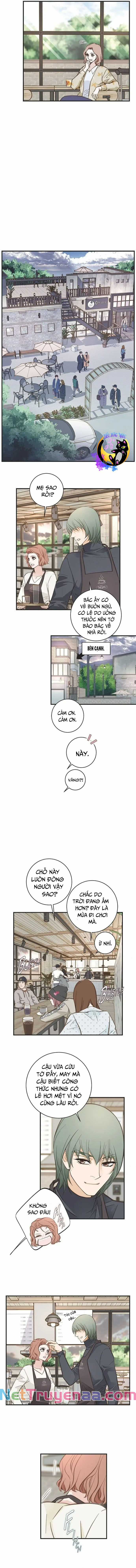 CUỘC HÔN NHÂN SỐNG CÒN Chapter 59 trang 6