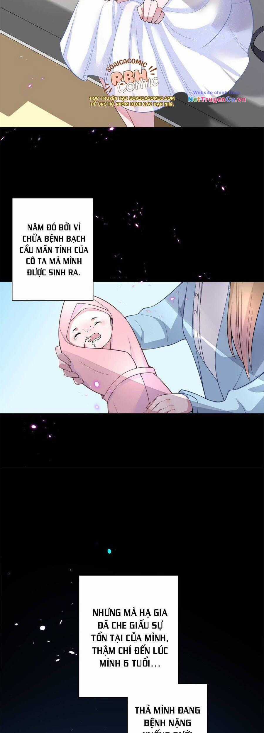 Cuộc Hôn Nhân Với Boss Nhà Giàu Khét Tiếng Chapter 2 trang 14