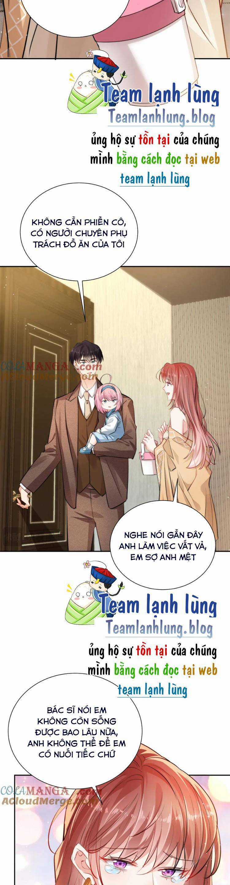 Cuộc Hôn Nhân Với Boss Nhà Giàu Khét Tiếng Chapter 227 trang 9