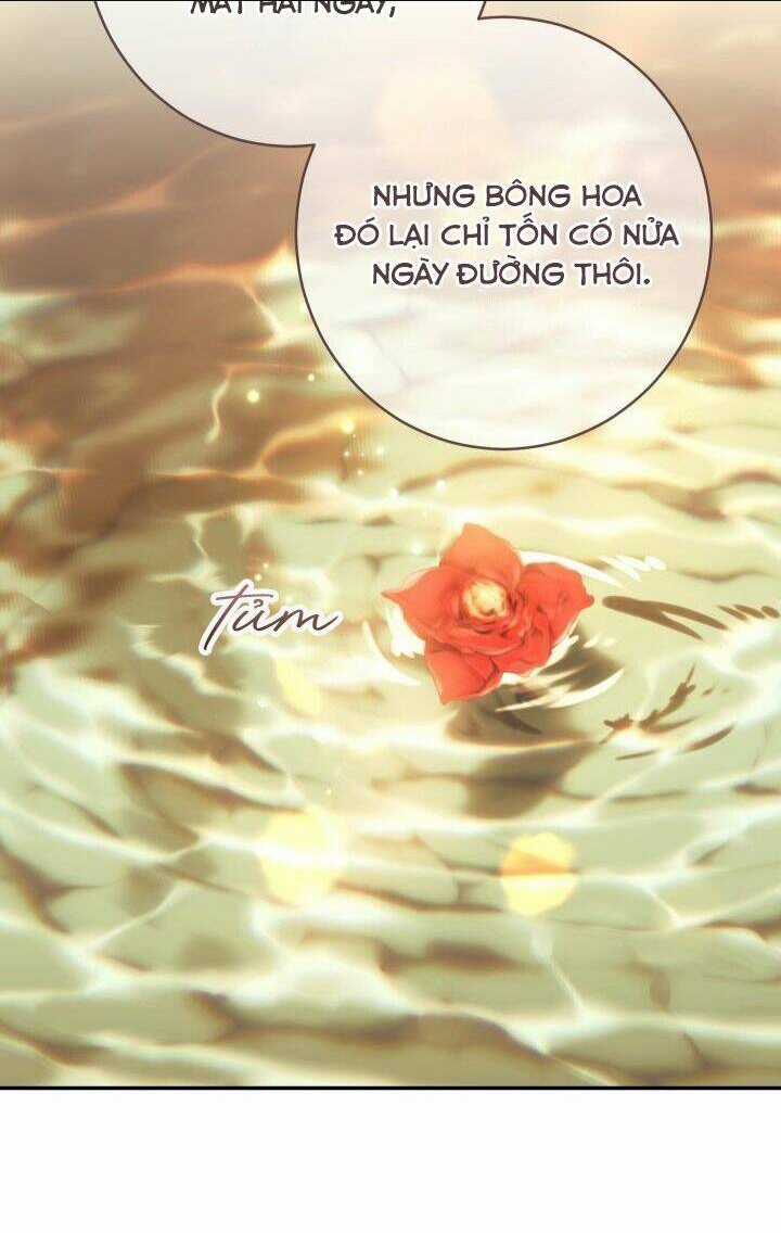 Cuộc Hôn Nhân Vụ Lợi Chapter 22 trang 6