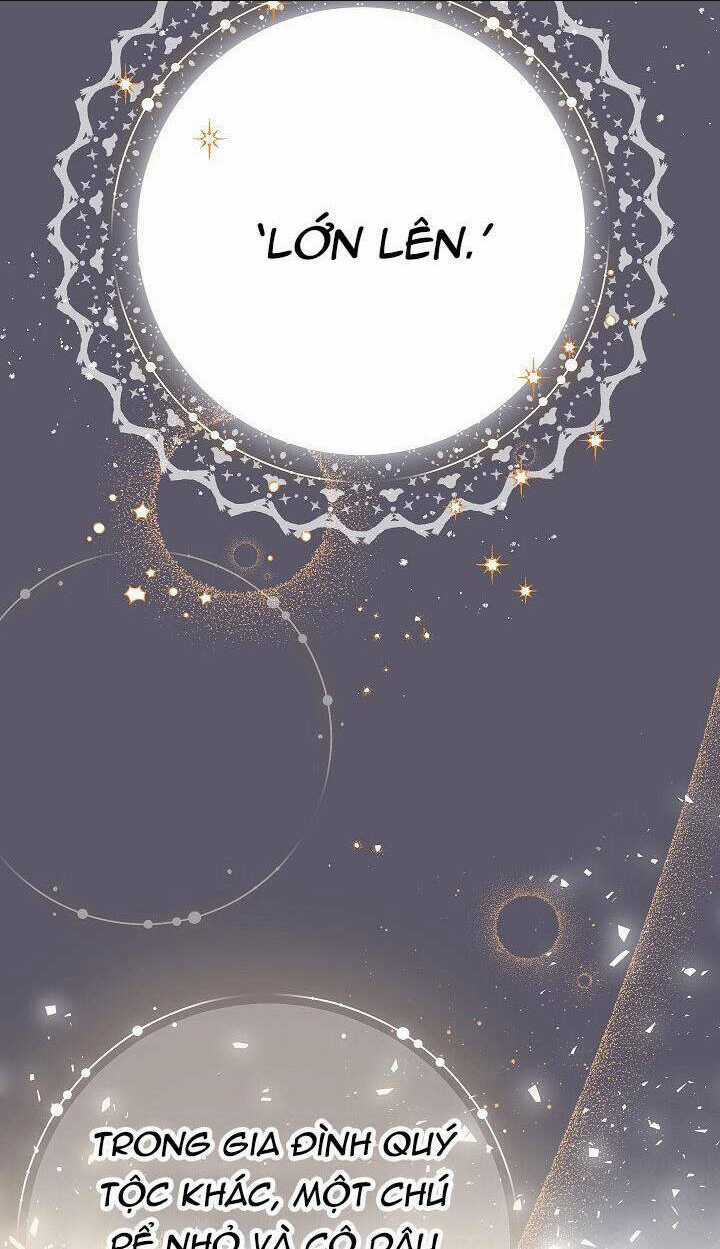 Cuộc Hôn Nhân Vụ Lợi Chapter 46 trang 15