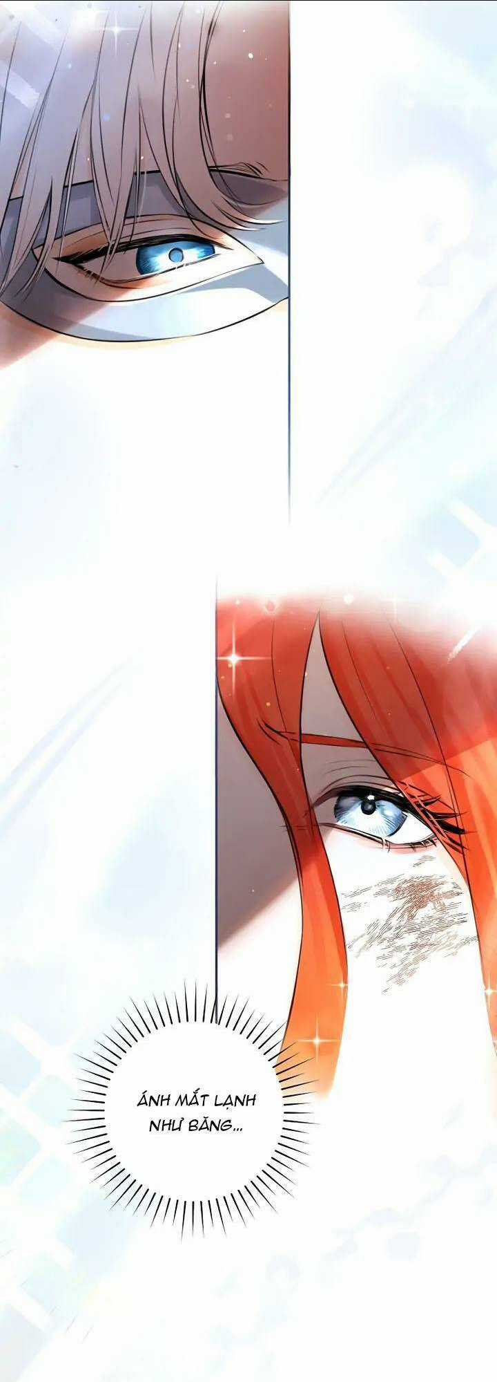 Cuộc Hôn Nhân Xa Hoa Của Đại Công Tước Là Giả Chapter 1 trang 11