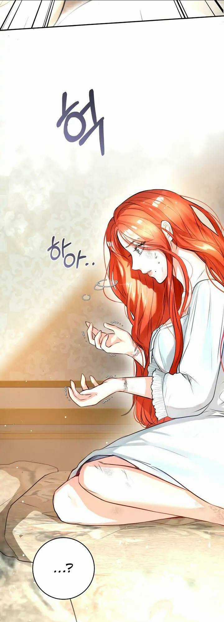 Cuộc Hôn Nhân Xa Hoa Của Đại Công Tước Là Giả Chapter 1 trang 17