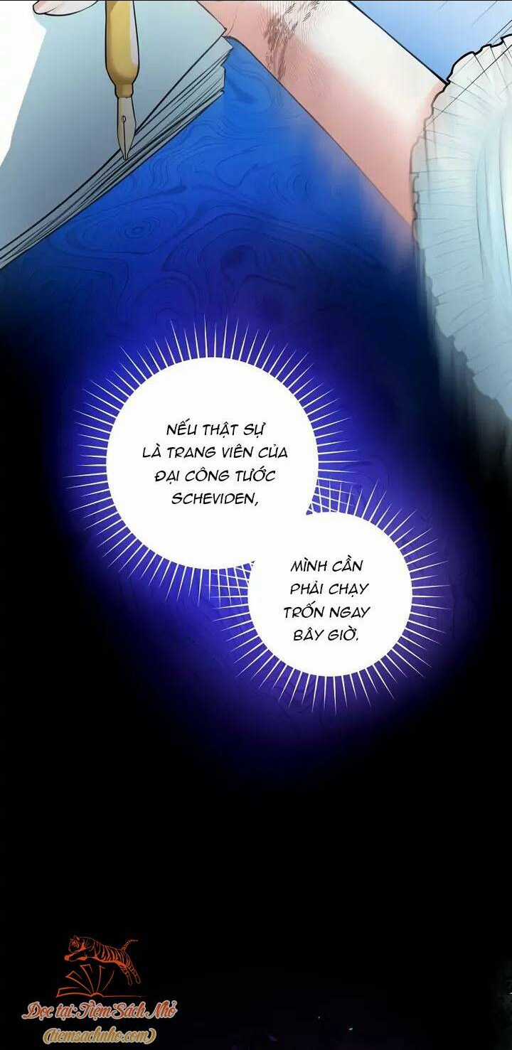 Cuộc Hôn Nhân Xa Hoa Của Đại Công Tước Là Giả Chapter 1 trang 29