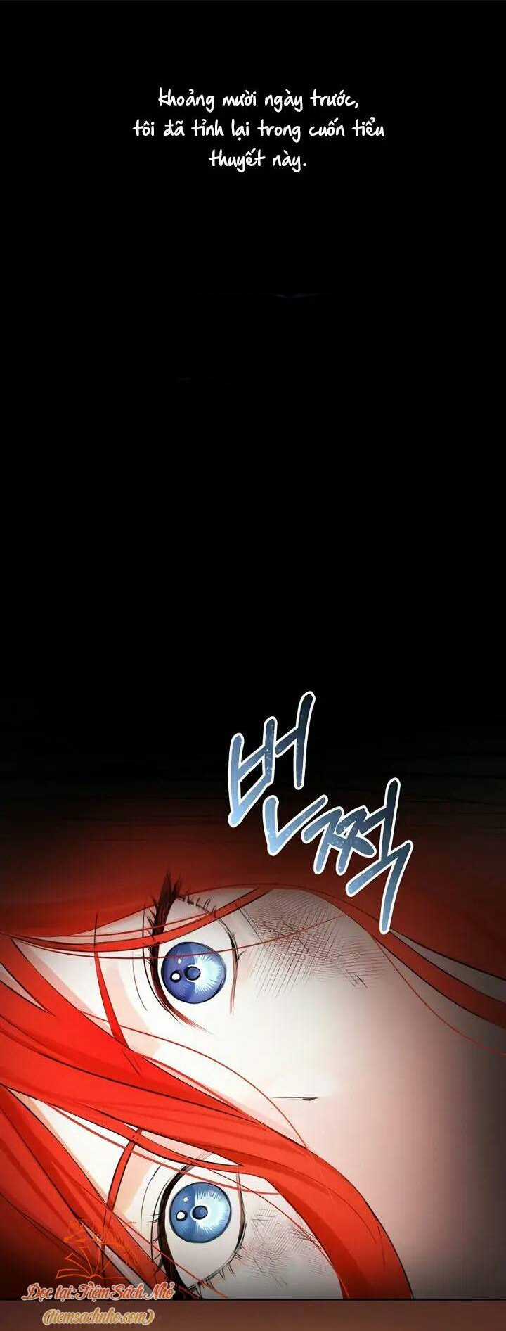 Cuộc Hôn Nhân Xa Hoa Của Đại Công Tước Là Giả Chapter 1 trang 54