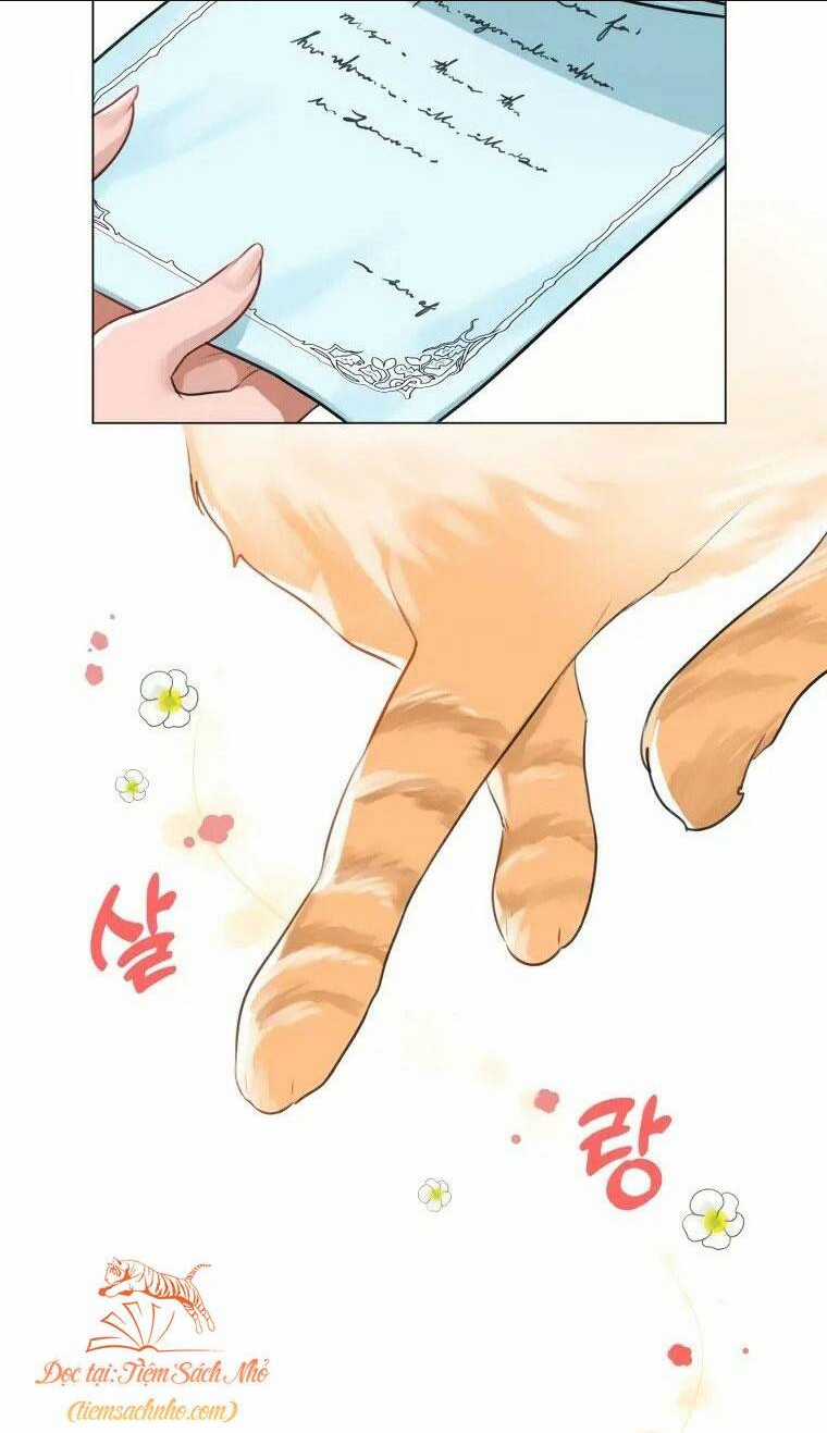 Cuộc Hôn Nhân Xa Hoa Của Đại Công Tước Là Giả Chapter 10 trang 47