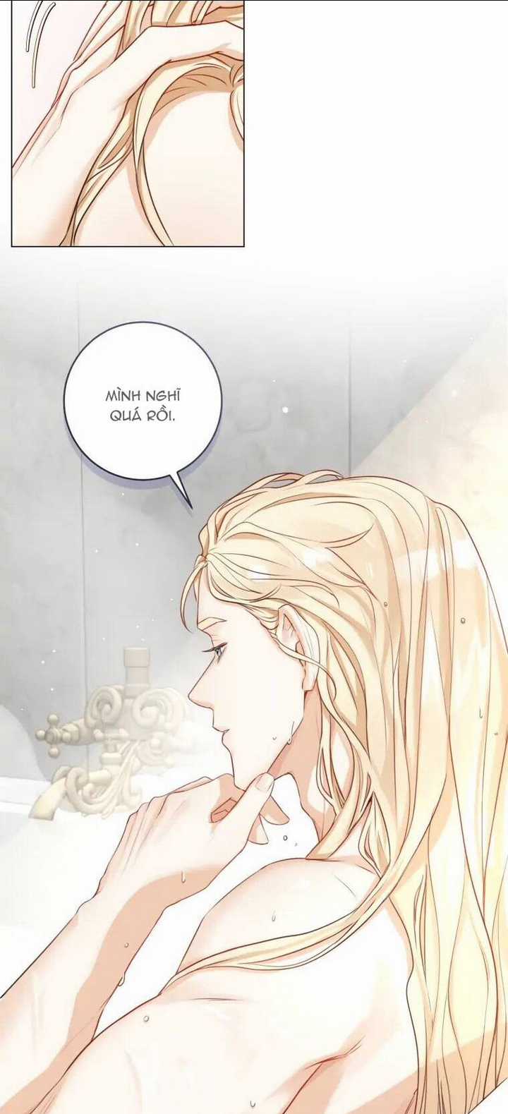 Cuộc Hôn Nhân Xa Hoa Của Đại Công Tước Là Giả Chapter 11 trang 19