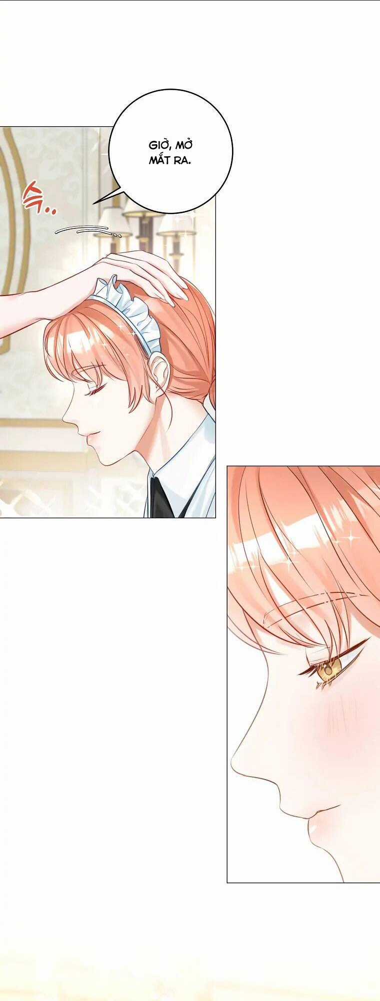 Cuộc Hôn Nhân Xa Hoa Của Đại Công Tước Là Giả Chapter 14 trang 17