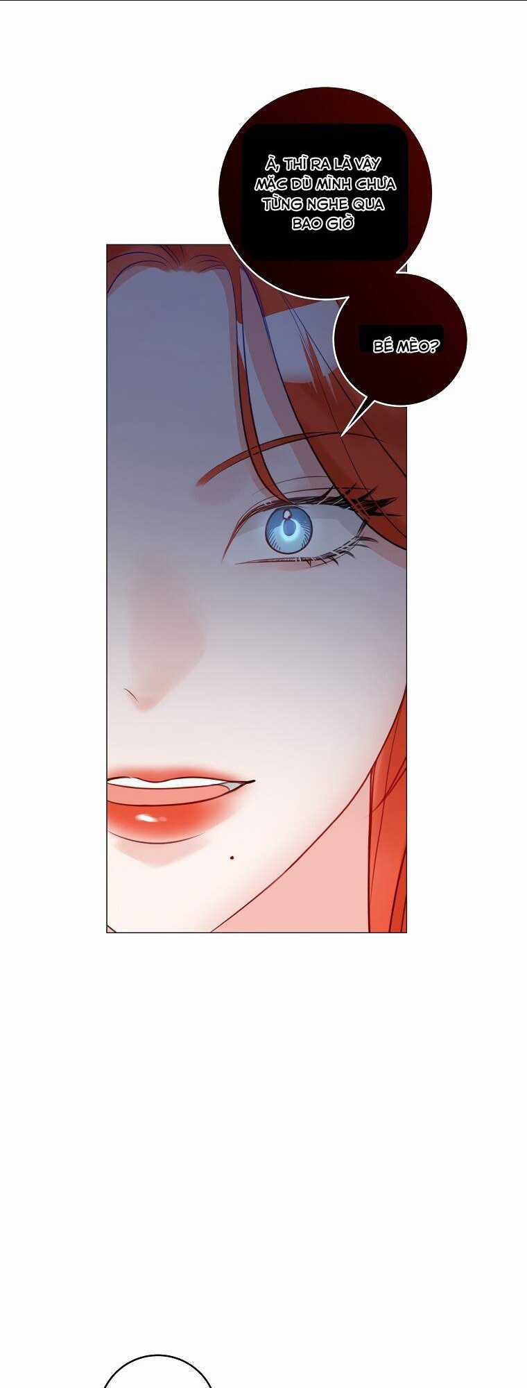 Cuộc Hôn Nhân Xa Hoa Của Đại Công Tước Là Giả Chapter 19 trang 26