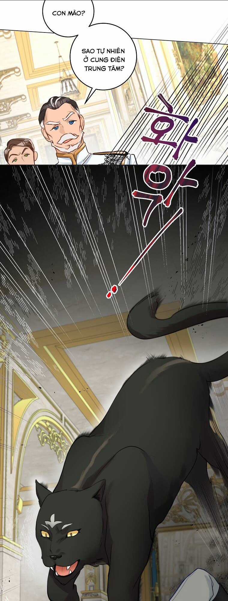 Cuộc Hôn Nhân Xa Hoa Của Đại Công Tước Là Giả Chapter 19 trang 27