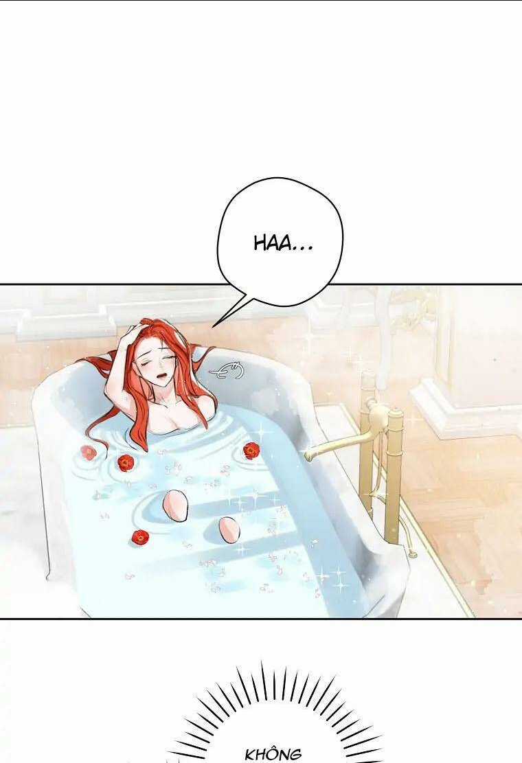 Cuộc Hôn Nhân Xa Hoa Của Đại Công Tước Là Giả Chapter 2 trang 4