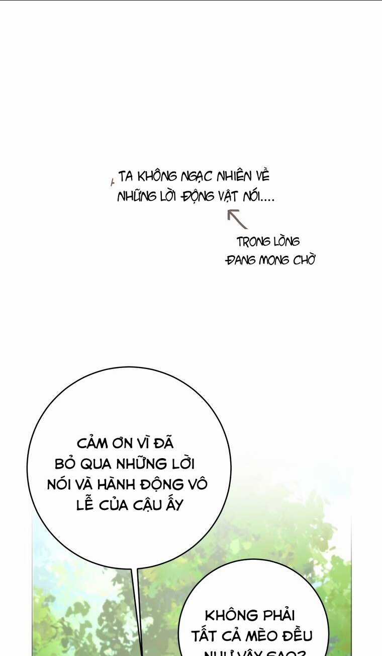 Cuộc Hôn Nhân Xa Hoa Của Đại Công Tước Là Giả Chapter 22 trang 5