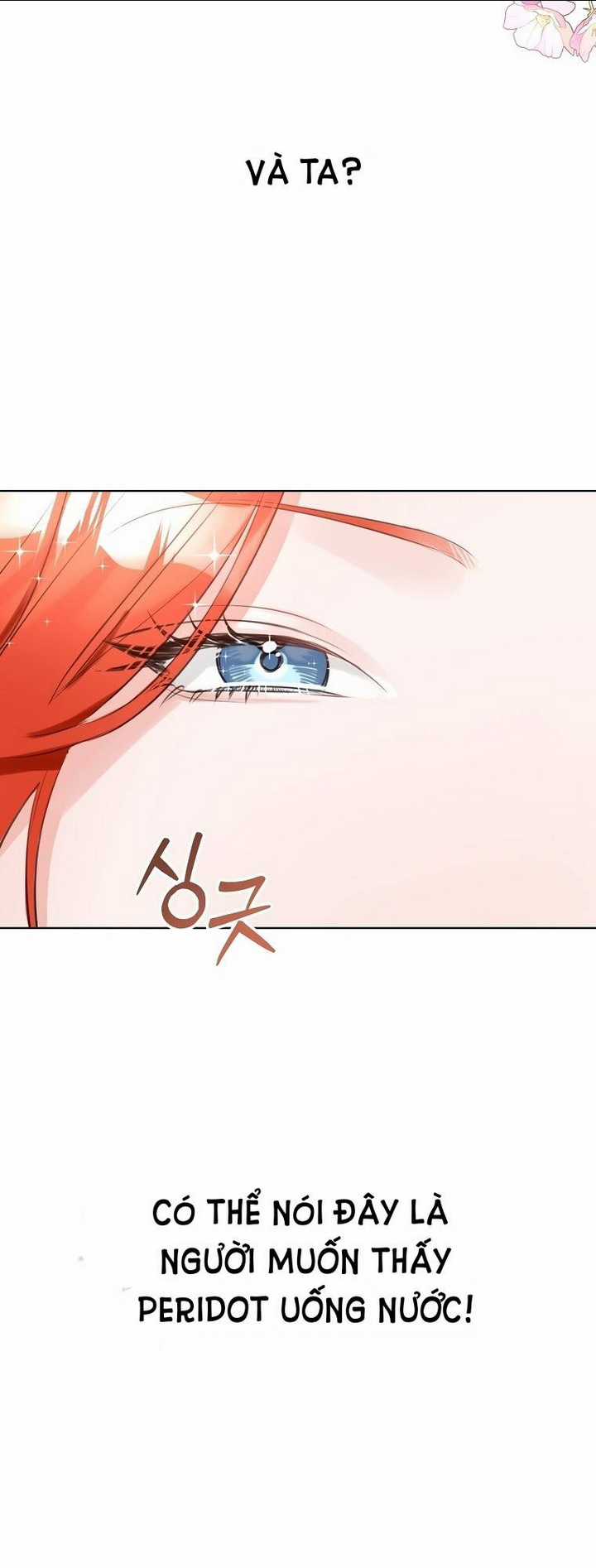 Cuộc Hôn Nhân Xa Hoa Của Đại Công Tước Là Giả Chapter 25 trang 47